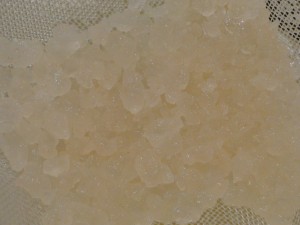 water-kefir-grains