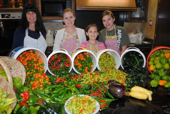 aquaponics harvest