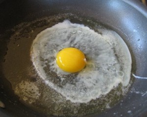 egg