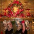 IMG_20121219_193639 IMG_20121219_193639
