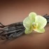 How To Make Your Own Vanilla Extract How To Make Your Own Vanilla Extract