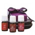 seasonal mini oils wellness seasonal mini oils wellness