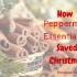 Peppermint Essential Oil