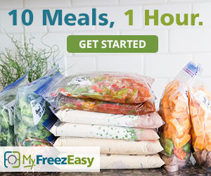 10-meals-in-1-hour-with-my-freezeasy_zpsybaixa9s