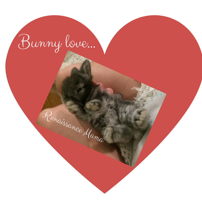 Bunny love